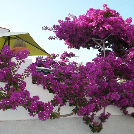 Hotel Villa Cecilia Ischia Exterior foto